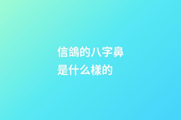 信鴿的八字鼻是什么樣的 (信鴿的鼻子怎么看好壞)-第1張-觀點(diǎn)-玄機(jī)派